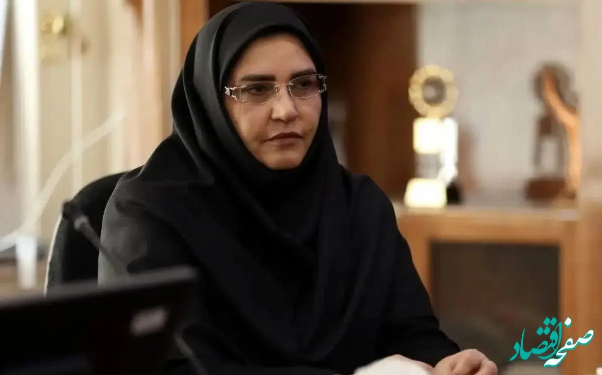 پروانه رضایی معاون جدید روابط کار وزارت تعاون، کار و رفاه اجتماعی کیست؟ + سوابق پروانه رضایی