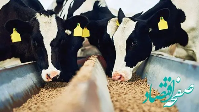 آخرین خبر از قیمت انواع نهاده های دامی و محصولات کشاورزی امروز شنبه 28 مرداد ماه ۱۴۰۲
