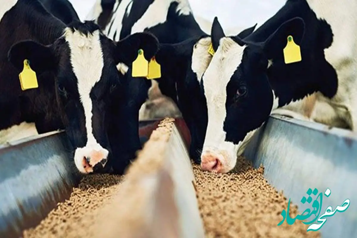 قیمت گندم | قیمت جو | قیمت سبوس گندم | قیمت انواع محصولات کشاورزی امروز ۱۰ مهر ۱۴۰۴