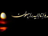 پیام تسلیت مدیرعامل بانک توسعه صادرات ایران به مناسبت درگذشت مدیرعامل بانک ملت