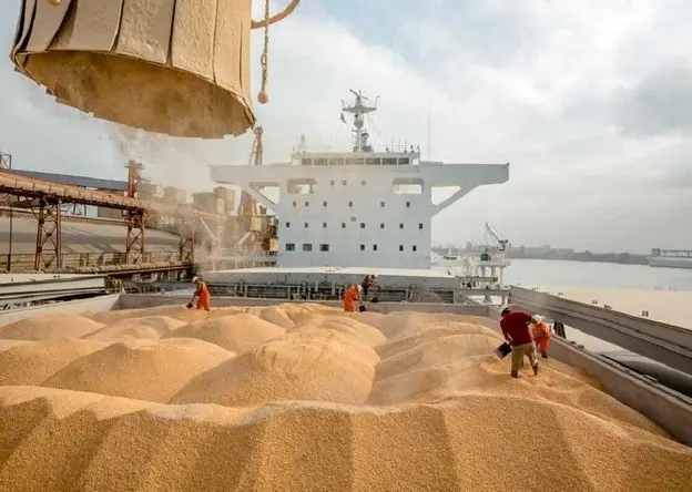 دولت مصوبه‌ای برای تسریع ترخیص نهاده‌های دامی ابلاغ کرد