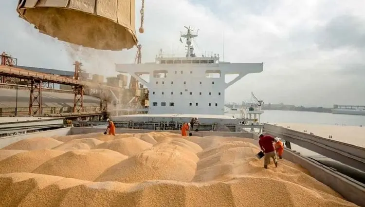 دولت مصوبه‌ای برای تسریع ترخیص نهاده‌های دامی ابلاغ کرد