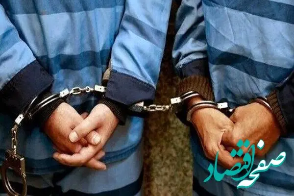 سپاه پاسداران حسابی این ۱۲ اتباع افغان را با این ضربه غافلگیر کردند / آنها قصد ربودن چه کسانی را داشتند؟