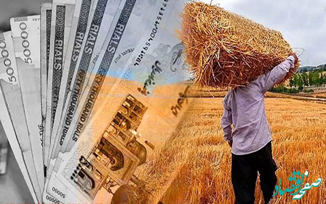 خبر فوری از پرداخت مطالبات گندمکاران امروز جمعه ۲۰ مهر ماه ۱۴۰۳ | گندمکاران بخوانند