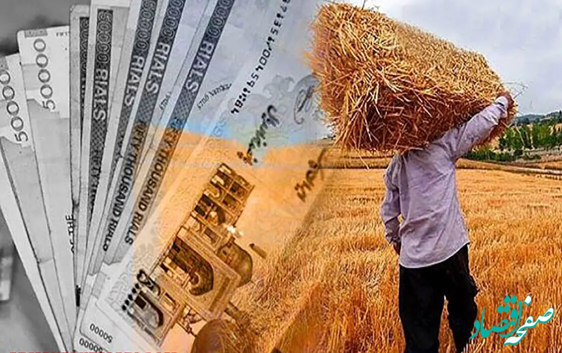 آخرین خبر از پرداخت مطالبات گندمکاران امروز چهارشنبه ۲۳ آبان ماه ۱۴۰۳ | کی پول گندم واریز می شود؟ 