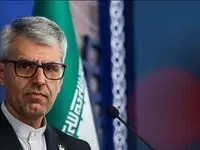 بقائی: تا زمان تشخیص تصمیم‌گیران در کشور با قوت از خود دفاع می‌کنیم