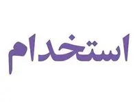 تصمیم دولت برای کارکنان قرارداد امور شرکتی
