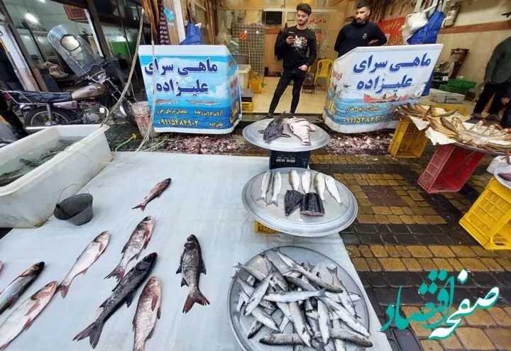 قیمت ماهی بی استخوان | قیمت ماهی قزل آلا | قیمت انواع ماهی ۱۲ خرداد ۱۴۰۴