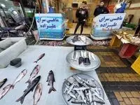 قیمت ماهی بی استخوان | قیمت ماهی قزل آلا | قیمت انواع ماهی ۱۲ خرداد ۱۴۰۴