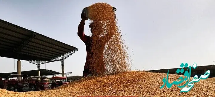 آیا مطالبات گندمکاران استان همدان پرداخت شد؟  