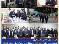دیدار مدیر عامل بیمه کوثر با همکاران و بیمه‌گزاران استان کرمان