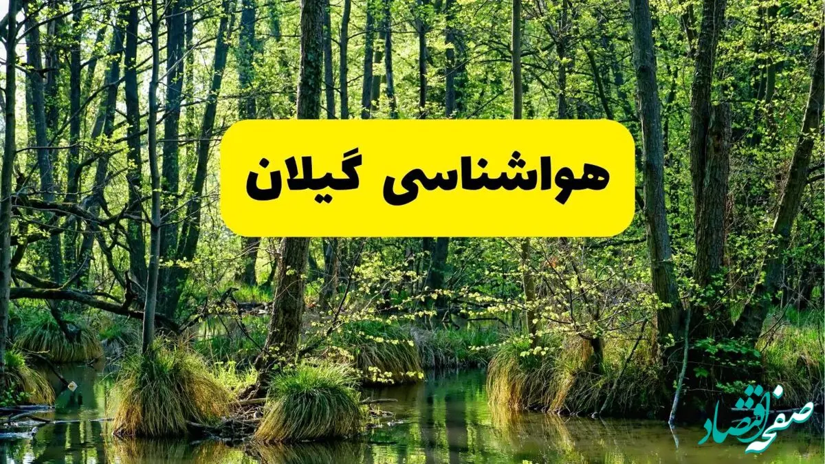 پیش بینی وضعیت آب و هوا گیلان فردا جمعه ۱۶ خرداد ماه ۱۴۰۴ | هواشناسی گیلان فردا ۱۶ خرداد + هواشناسی رشت