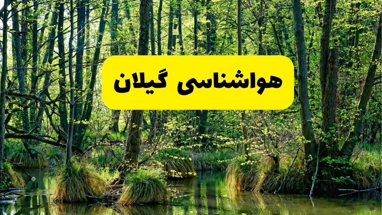 هواشناسی گیلان طی ۲۴ ساعت آینده | پیش بینی وضعیت آب و هوا گیلان فردا دوشنبه ۲۹ اردیبهشت ۱۴۰۴ + هواشناسی رشت