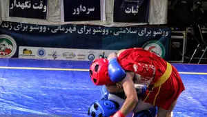 غوغای ووشوکاران خراسان جنوبی در مسابقات قهرمانی کشور