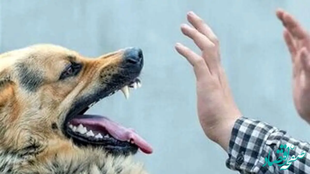 حمله وحشیانه سگ به کودک در خوزستان؛ تصویر دلخراش و تکان‌دهنده