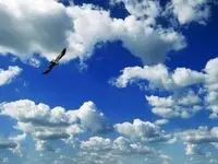وضعیت آب و هوا هرمزگان فردا دوشنبه ۲۸ آبان ماه ۱۴۰۳ + هرمزگانی ها بخوانند
