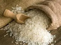 ۱.۲ میلیارد یورو مطالبات ارزی بلاتکلیف؛ بازار برنج در انتظار تعیین تکلیف دولت