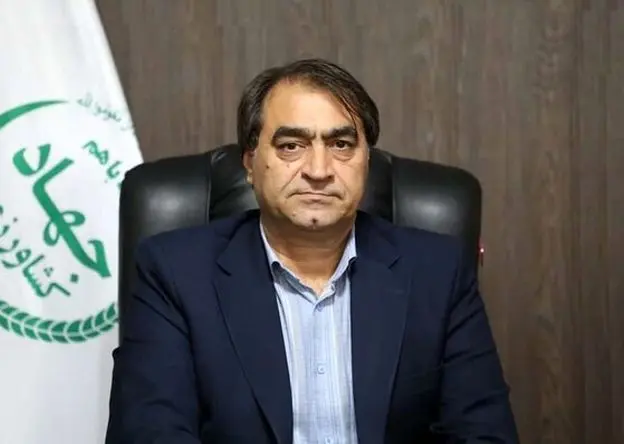 توزیع خوراک دام و طیور با ارز دولتی | مرغداران نگران تأمین نهاده نباشند