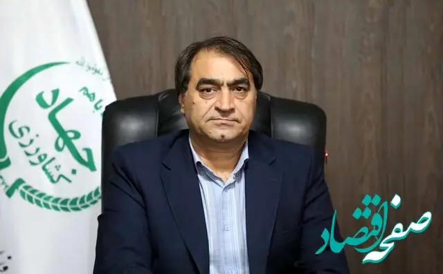 توزیع خوراک دام و طیور با ارز دولتی | مرغداران نگران تأمین نهاده نباشند