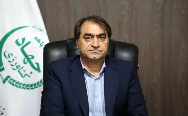 توزیع خوراک دام و طیور با ارز دولتی | مرغداران نگران تأمین نهاده نباشند