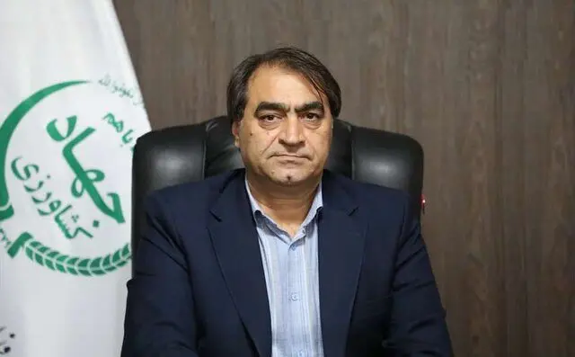 توزیع خوراک دام و طیور با ارز دولتی | مرغداران نگران تأمین نهاده نباشند