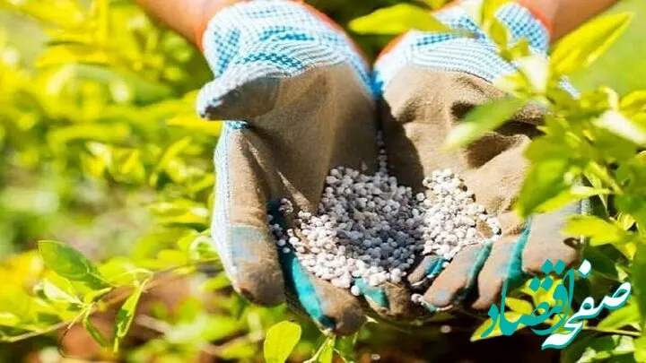 بحران قوی تر در پی بستن تنگه هرمز؛ فلج شدن صنعت کشاورزی در جهان