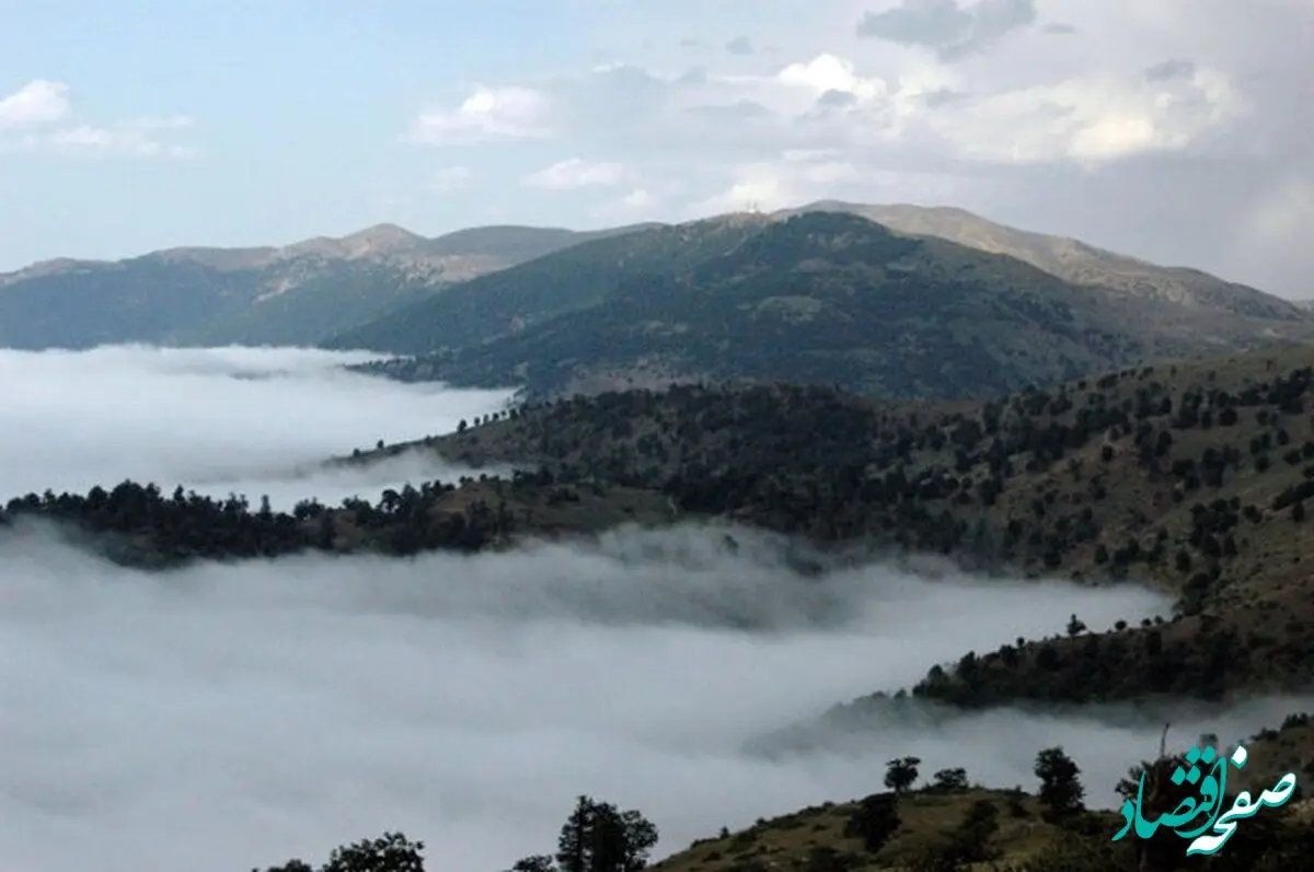 آخرین وضعیت عاقبت ۵ فرد گمشده در جنگل ابر شاهرود