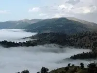 آخرین وضعیت عاقبت ۵ فرد گمشده در جنگل ابر شاهرود