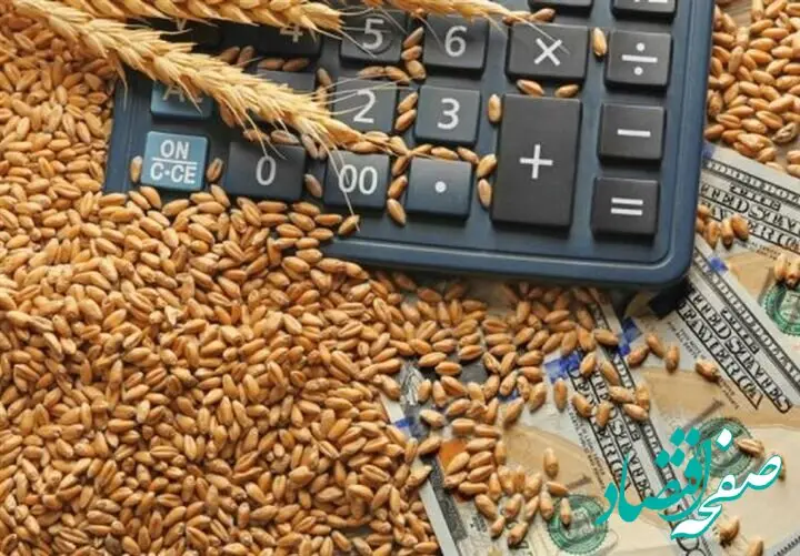 ماجرای جایزه ۲۰ هزار تومانی برای گندمکاران چیست؟