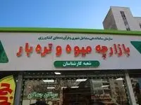آخرین خبر از وضعیت فعالیت میادین تره‌بار و فروشگاه های 