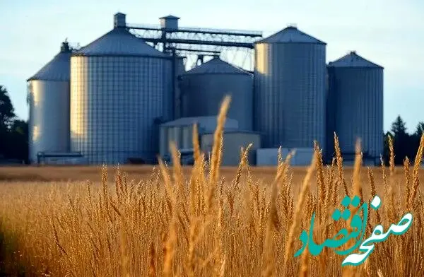 وصعیت کنونی ذخایر جهانی گندم چگونه است؟ 