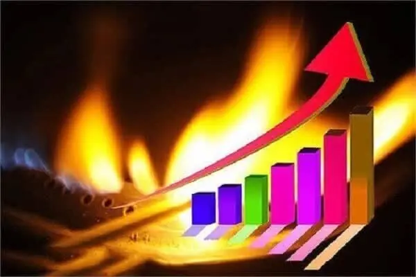 77 درصد گاز کشور در فصول سرد سال دربخش خانگی و تجاری می سوزد