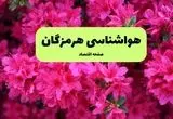 هواشناسی هرمزگان ۲۴ ساعت آینده اعلام شد | پیش بینی وضعیت آب و هوا هرمزگان فردا دوشنبه ۱۹ خرداد ماه ۱۴۰۴ + هواشناسی بندرعباس