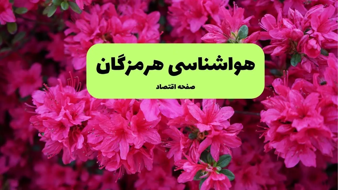 پیش بینی وضعیت آب و هوا هرمزگان فردا یکشنبه ۱ تیر ماه ۱۴۰۴ | هواشناسی هرمزگان فردا یکم تیر ماه