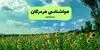 پیش بینی وضعیت آب و هوا هرمزگان فردا چهارشنبه ۲۵ شهریور و هواشناسی هرمزگان فردا