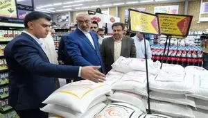 خبر فوری؛ برنج ارزان می‌شود