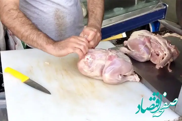 مرغ گران شد ؟ / نمایندگان خانه ملت چه پیانوی دریافت کردند ؟ 