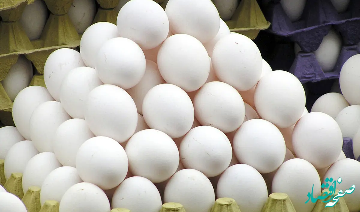 تخم‌مرغ بالاخره شکست؛ بازار عقب نشست