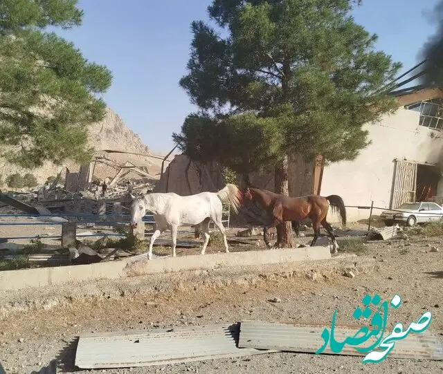 حمله اسرائیل به اصطبل پرورش اسب در کرمانشاه/ امار تلفات اسب