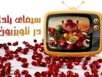 اسامی مجریان تلویزیون در ویژه برنامه های شب یلدا به همراه زمان پخش برنامه های شب یلدا