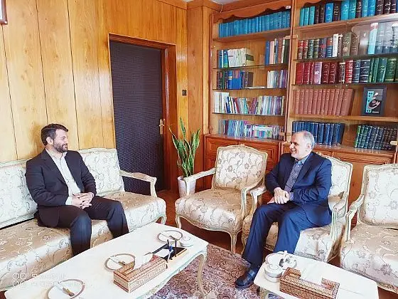 بررسی و بهبود الگوی بازرسی و امور قضایی در مناطق آزاد