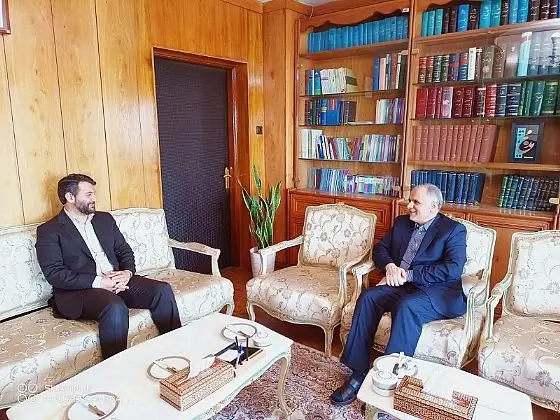 بررسی و بهبود الگوی بازرسی و امور قضایی در مناطق آزاد