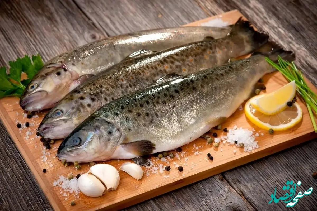 کدام ماهی گران‌تر شد؟/جدول قیمت انواع ماهی امروز دوشنبه ۱ بهمن ۱۴۰۳