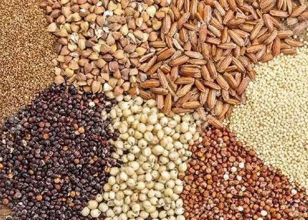 جدیدترین جدول قیمت نهاده های کشاورزی و دامی امروز دوشنبه ۱۹ مرداد