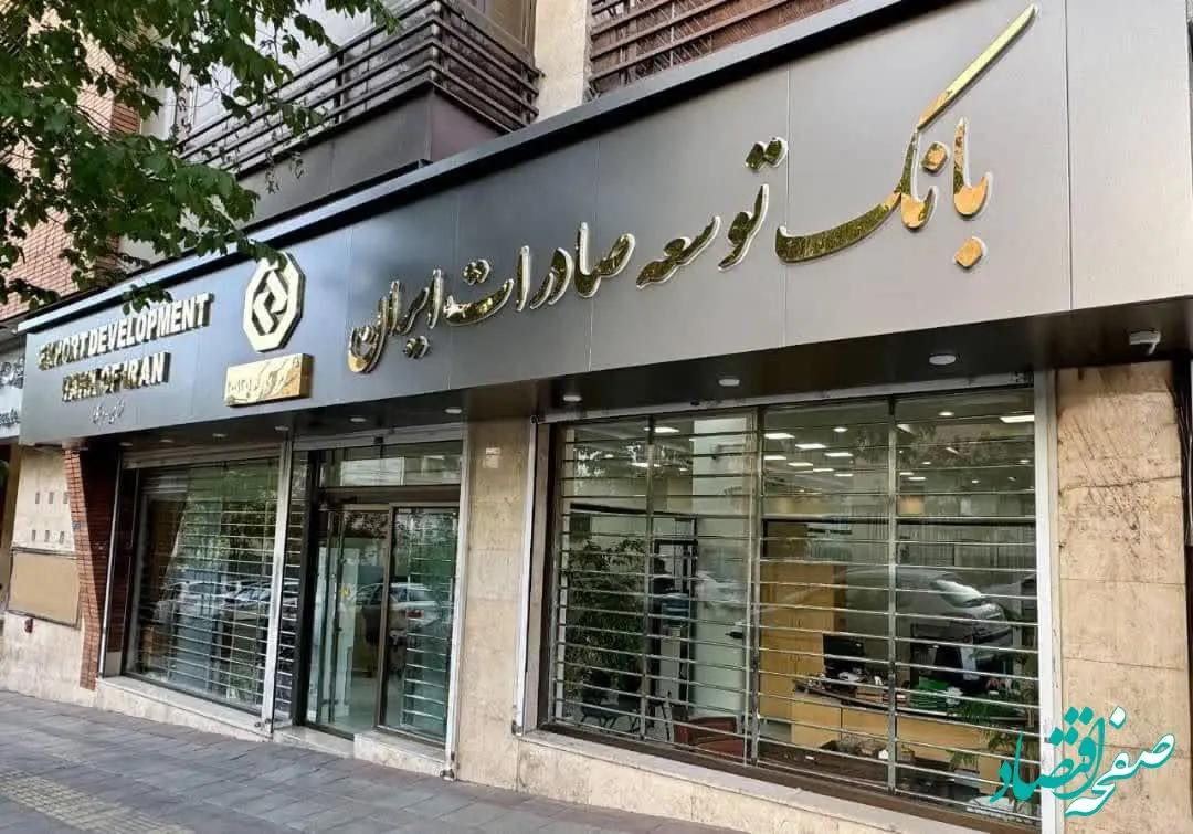 ۹۰درصد تسهیلات بانک توسعه صادرات ایران در اختیار بخش مولد خصوصی/ صدور ضمانت نامه برای تولیدکننده واقعی با قدرت ادامه دارد