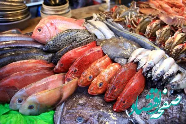 جدیدترین قیمت ماهی قزل آلا و انواع ماهی امروز یکشنبه ۲۳ دی ۱۴۰۳