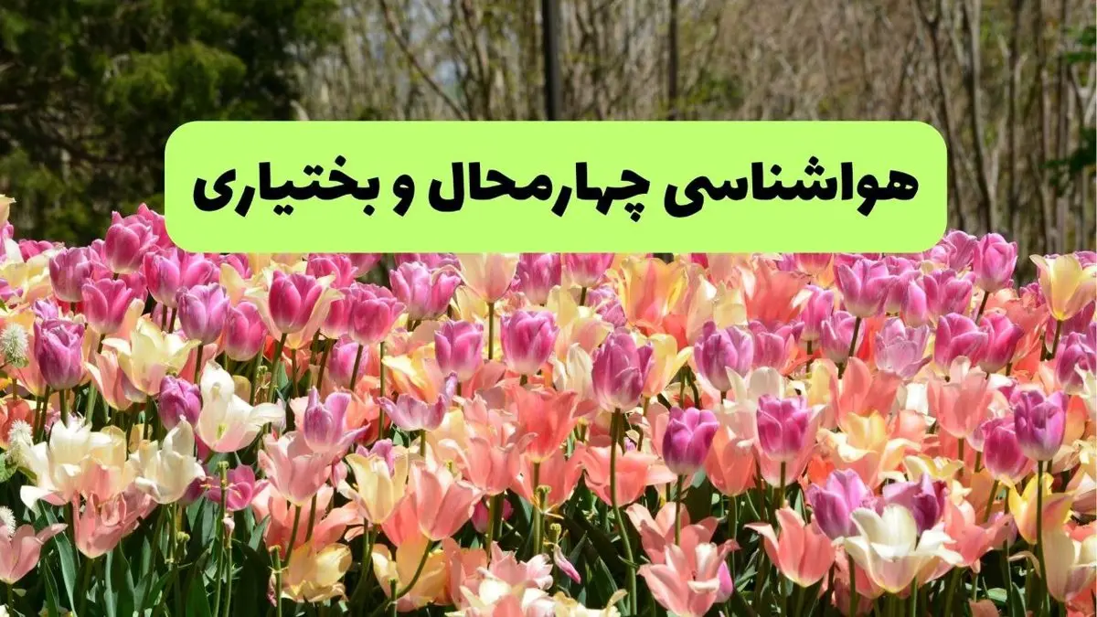 هواشناسی چهارمحال و بختیاری ۲۴ ساعت آینده | پیش بینی وضعیت آب و هوا چهارمحال و بختیاری فردا شنبه ۱۷ خرداد ماه ۱۴۰۴ 