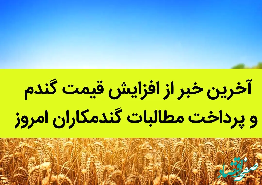 آخرین خبر از افزایش قیمت گندم و پرداخت مطالبات گندمکاران امروز 17 شهریور ۱۴۰۲ | بمب قیمت گندم کی منفجر می شود؟ 
