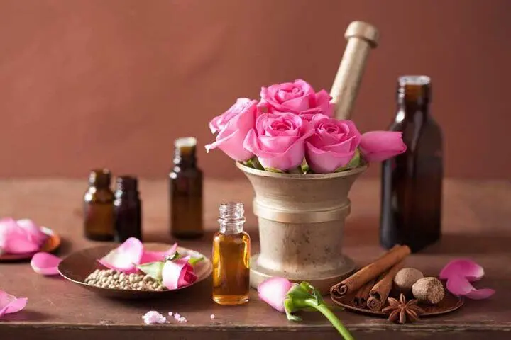 آخرین پیش بینی برداشت گل محمدی در گناباد