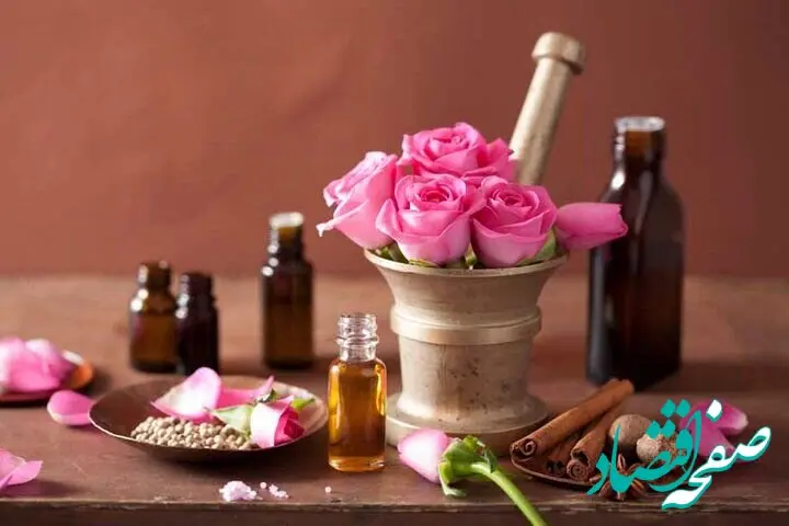 آخرین پیش بینی برداشت گل محمدی در گناباد